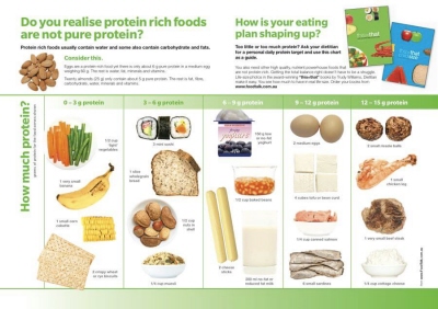 Protein Chart For All Foods